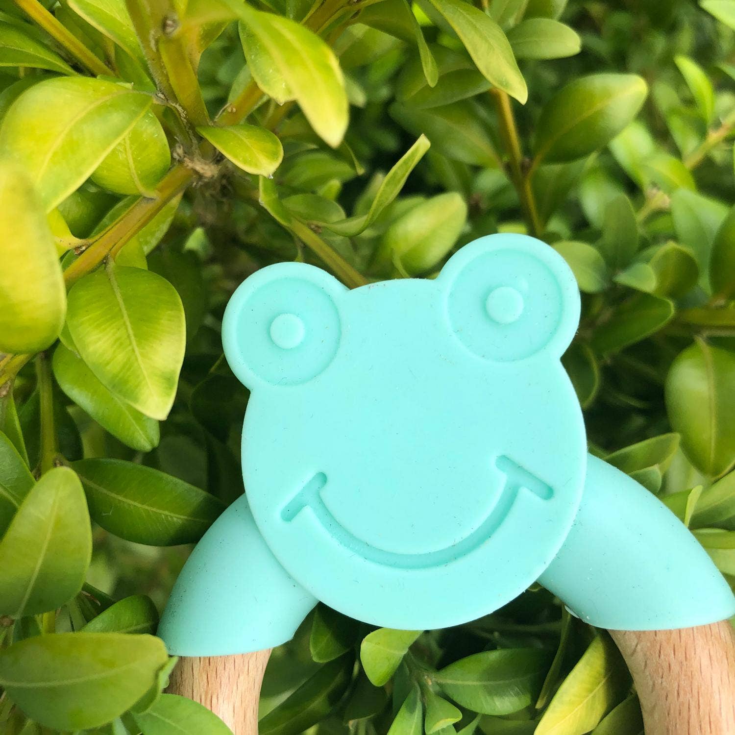 Rana per bambini in legno di silicone verde