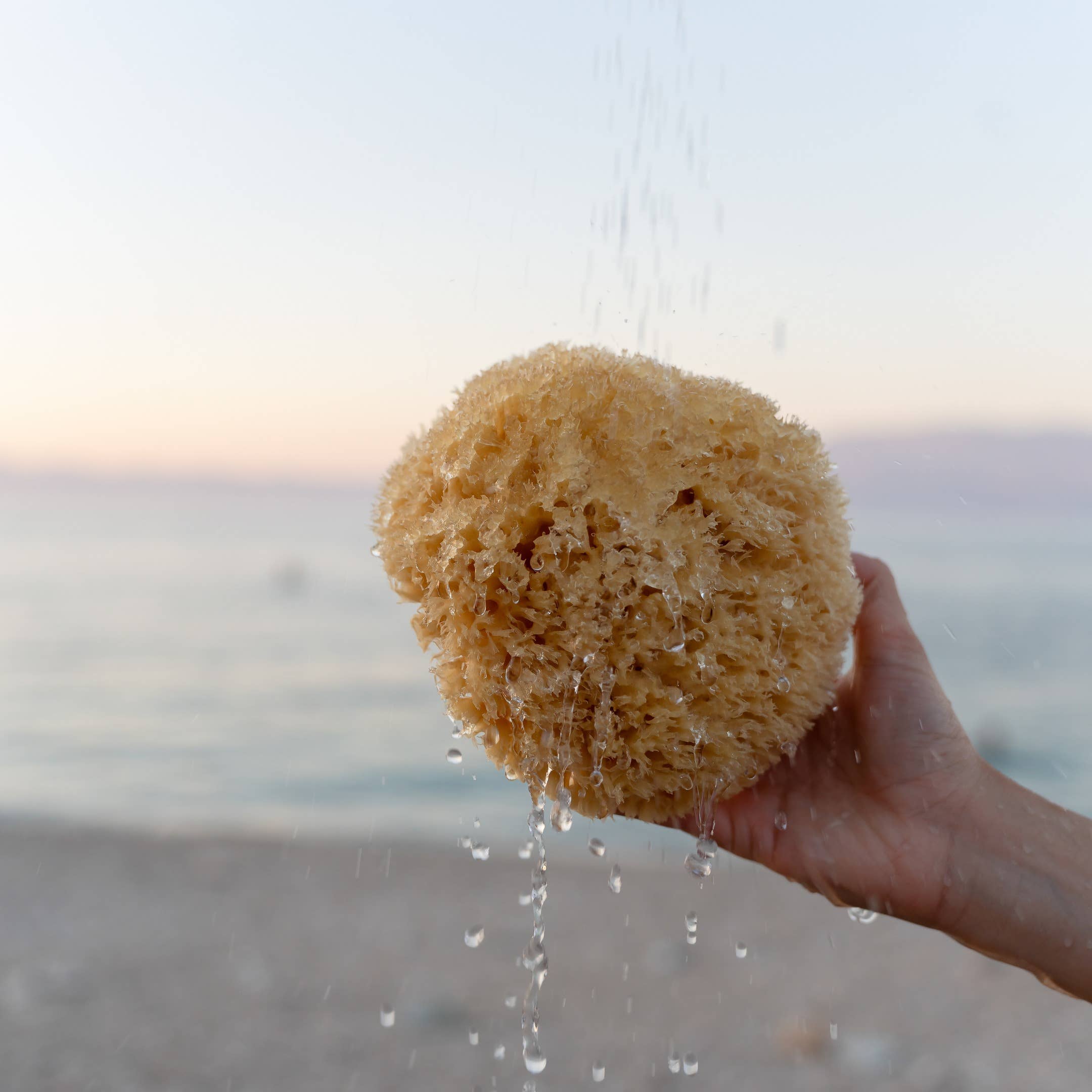 Spugna naturale sostenibile dal mare per bagno benessere